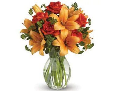 Fiery Beauty