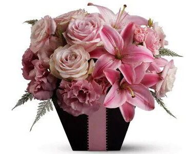 First Blush