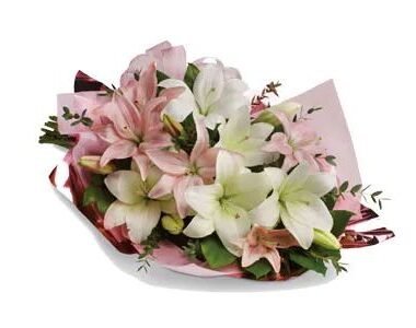 Lovely Lilies