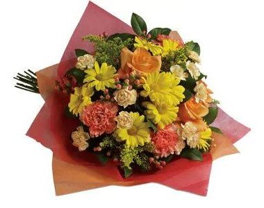Playful Posies