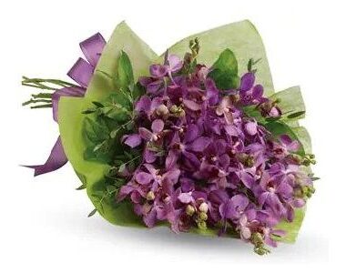 Purple Perfection