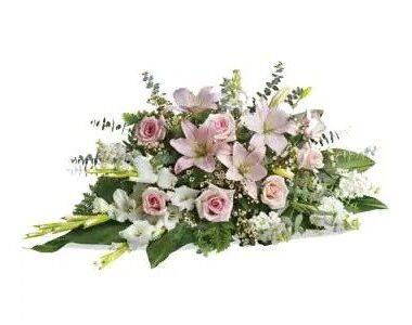Tender Tribute