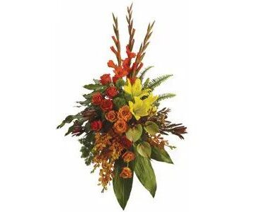 Tropical Tribute