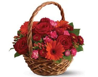 Warm Wishes