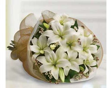 White Delight