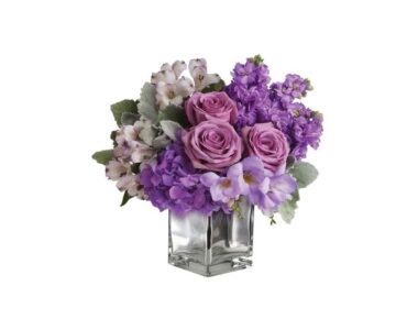 Lavender Mum